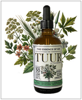 TUUR Absinthe Gin (Herbal)