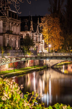 L'AUTOMNE SUR LA NEUSTADT