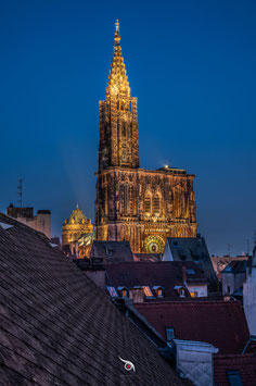 DEPUIS LE CINEMA VOX