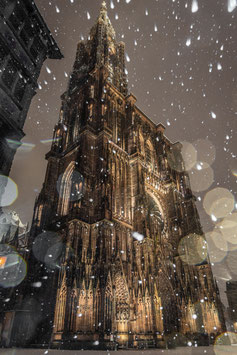 SOUS LES FLOCONS , NEIGE ETERNELLE