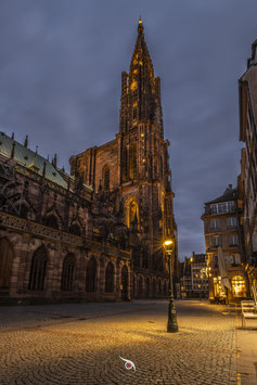 L'OR DES NUITS STRASBOURGEOISES