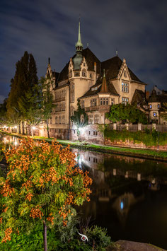 STRASBOURG, LES PONTONNIERS RÉVÉLÉS