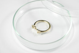 Goldfever ring stage 1