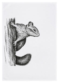 Geschirrtuch weiß "Eichhörnchen", grau