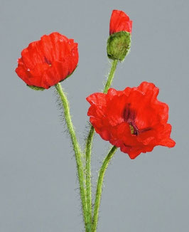 Kunstblume Kunstblume Mohn in 2 Farben