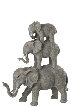 Elefant Elefanten-Familie