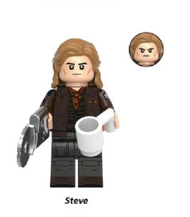 STEVE Mod.2