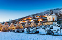 Winter, Wein und Weihnachtsmarkt