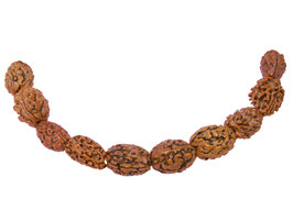 SELTENHEIT: Rudraksha Oliven groß - 20 cm-Strang