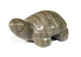 Holzstein gebohrte Schildkröte ca. 24x16 mm Edelstein-Perle