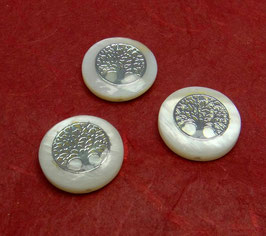 Muschelperlen Perlmutt Münze mit Inlay "Lebensbaum" ca. 15-16 mm - 1 Set = 3 Stück