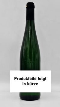 Blanc de Noir Trocken 2023