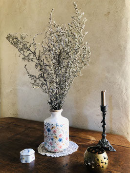 Armoise commune {Artemisia vulgaris}