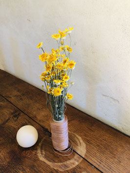 Camomille des teinturiers {Anthemis tinctoria}