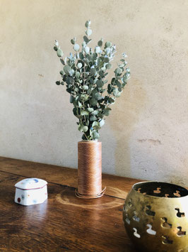 Eucalyptus à feuilles rondes {Eucalyptus gunnii}