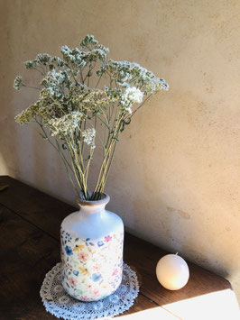 Achillée Millefeuille { Achillea millefolium }