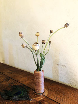 Pavot Pivoine {Papaver paeoniflorum}