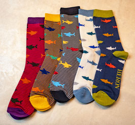 Fische, Krebse, Hummer, Haie, Tintenfische