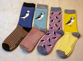 Papageientaucher, Möwen und Fasane