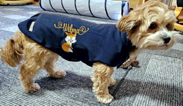 Nur auf Bestellung ! Winddichter Hundemantel / Hundejacke Gr S