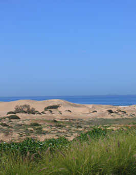 Dunes & Water