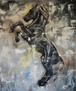 HARLEKIN