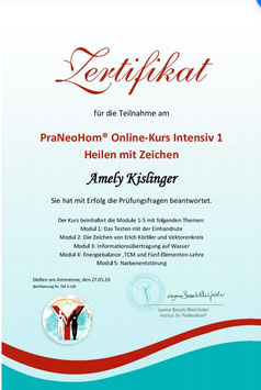Fernbehandlung PraNeoHom®