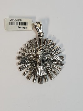 Medalha Espirito Santo Raios - APF