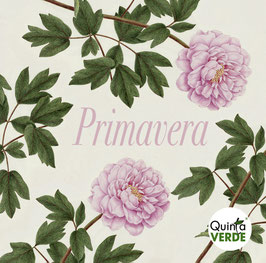 Tarjeta PRIMAVERA - DÍA DE LA MADRE