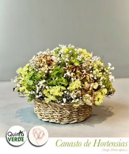 canasto de hortensias
