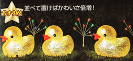 あひる君一匹