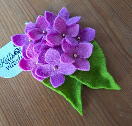 Hortensia paars-roze