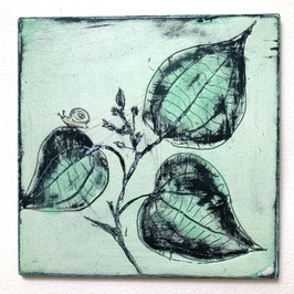 SCHNECKE AUF DREIBLATT