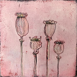 Bild MOHNBLUMEN