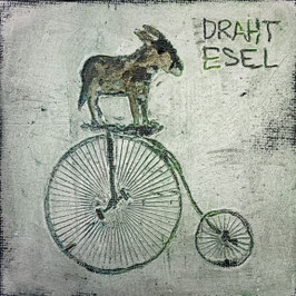 Bild DRAHTESEL