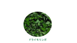 純粋100％ドライモリンガリーフ　モリンガ葉