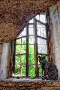 Artikel-Nr. 003B - Fenster mit Katze