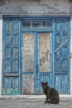 Artikel-Nr. 003G - Blaue Tür mit Katze