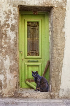 Artikel-Nr. 003F - Grüne Tür mit Katze