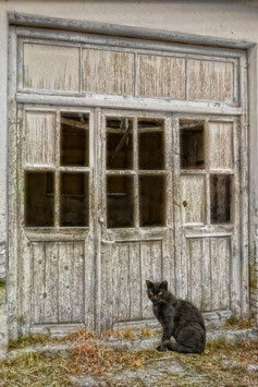 Artikel-Nr. 003L - Alte Tür mit Katze