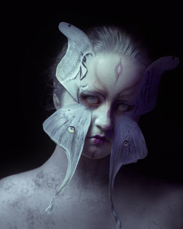 Aktion: Moths and Butterflys