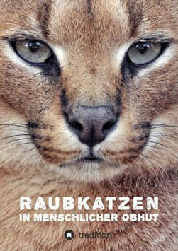 Raubkatzen in menschlicher Obhut - Softcover