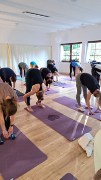 Fit durch die Schwangerschaft– Präventionskurs ONLINE