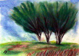 2018#40_Three Trees, Pastellbild, Bäume, Wiese, Gras, Weg, Landschaftsbild, moderne Malerei, Pastellgemälde, Pastellmalerei, Landschaft