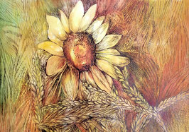 Sonnenblumen Kunstdruck