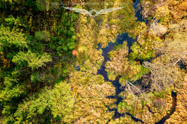 Herbst im Bayerwald 4