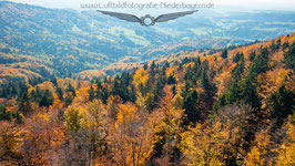 Herbst im Bayerwald 2