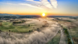 Natur im Morgennebel