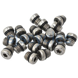 SRAM / AVID Entlüftungsschraube für DOT Bremsen