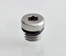 SRAM / AVID Entlüftungsschraube für DOT Bremsen